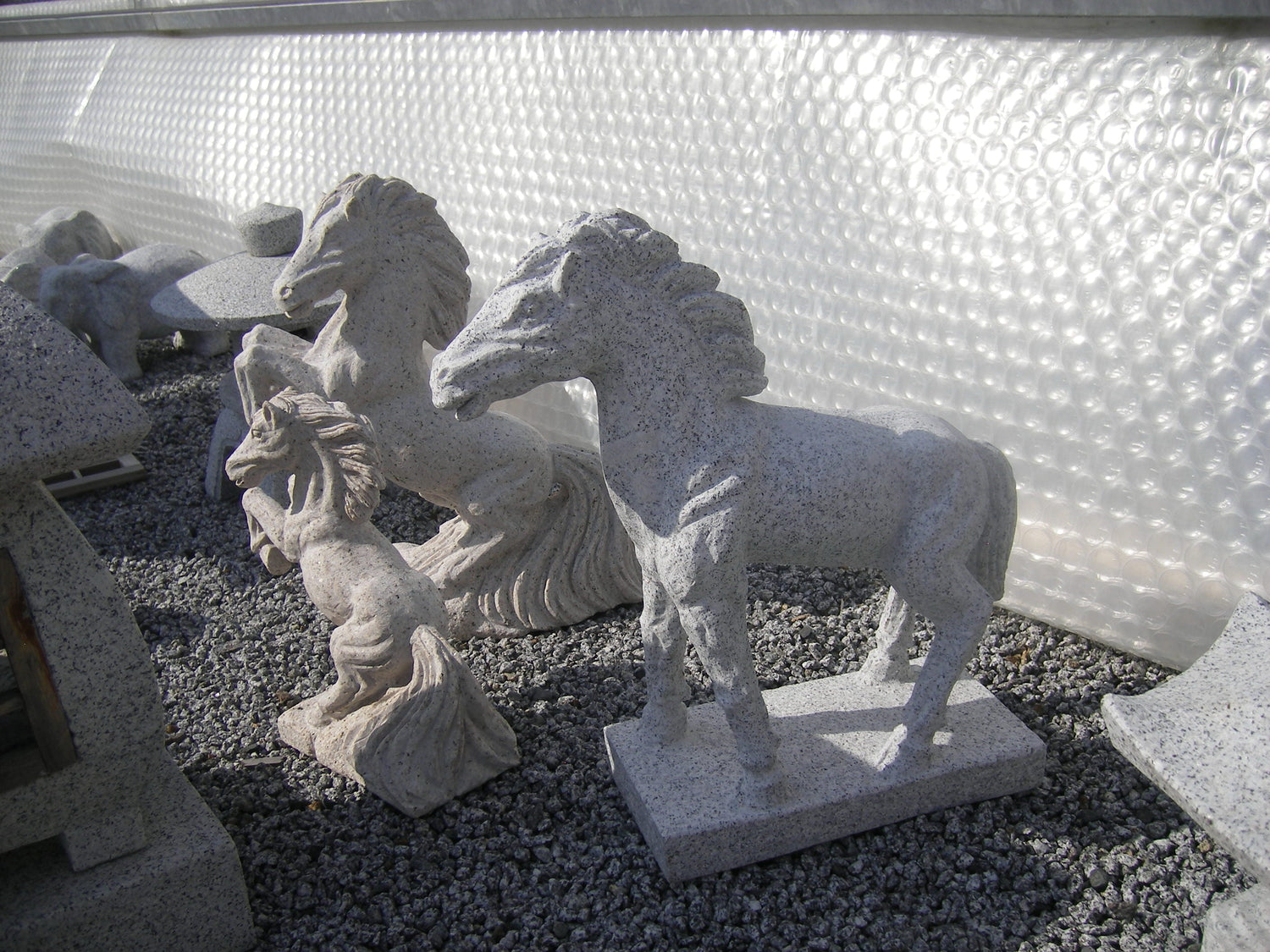 Tiere
