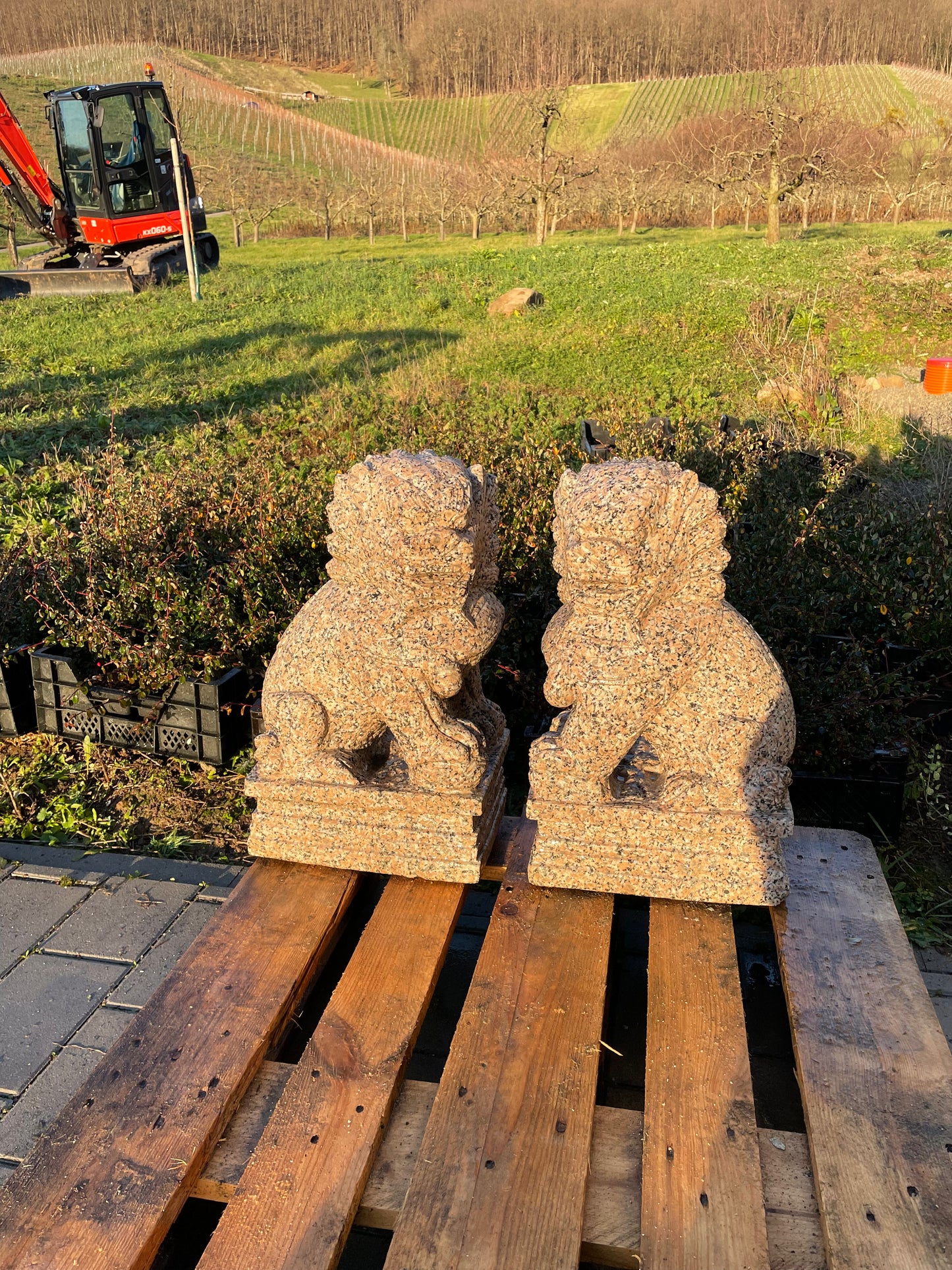 Tempelhunde aus massivem Granit (Paar)