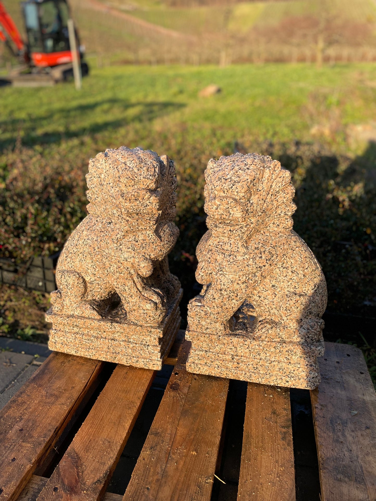 Tempelhunde aus massivem Granit (Paar)
