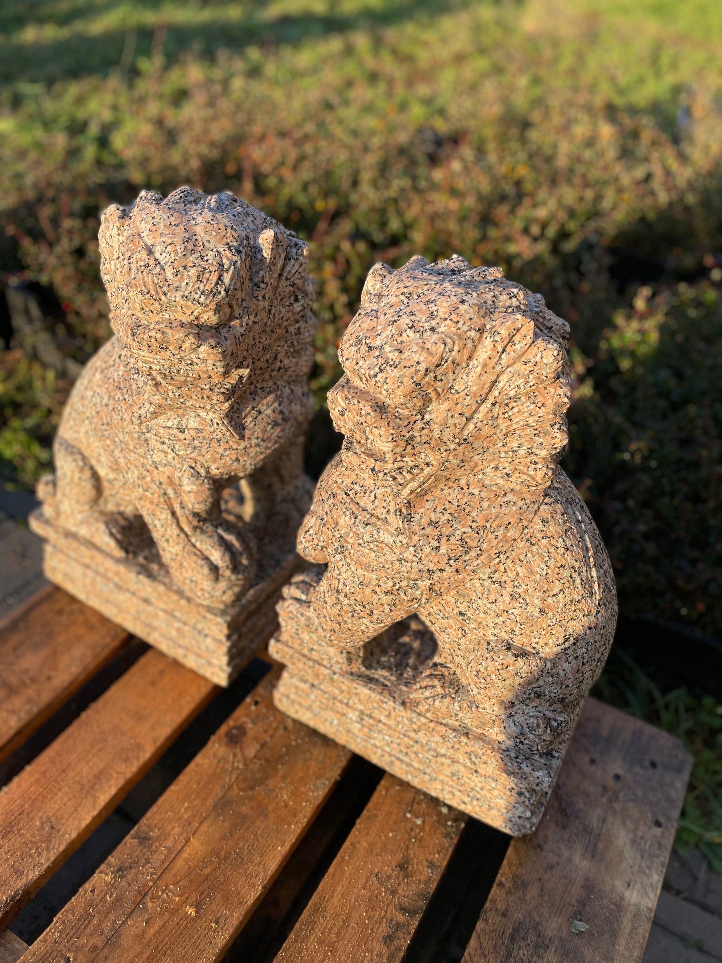 Tempelhunde aus massivem Granit (Paar)