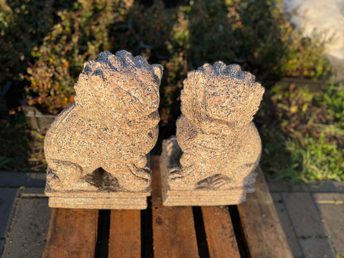 Tempelhunde aus massivem Granit (Paar)