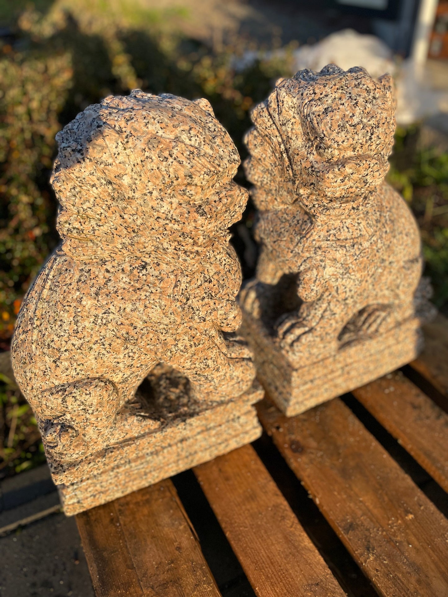 Tempelhunde aus massivem Granit (Paar)