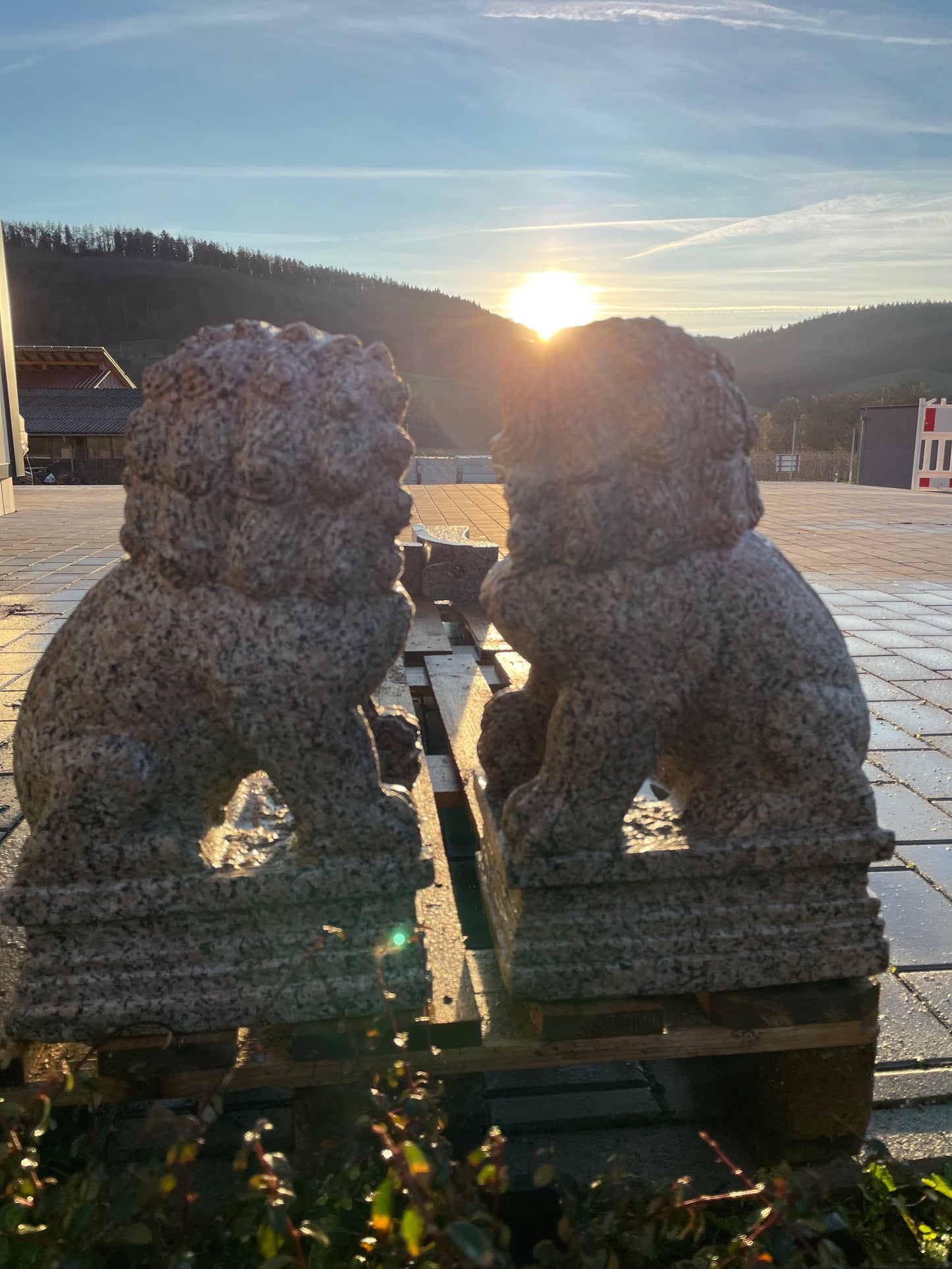 Tempelhunde aus massivem Granit (Paar)
