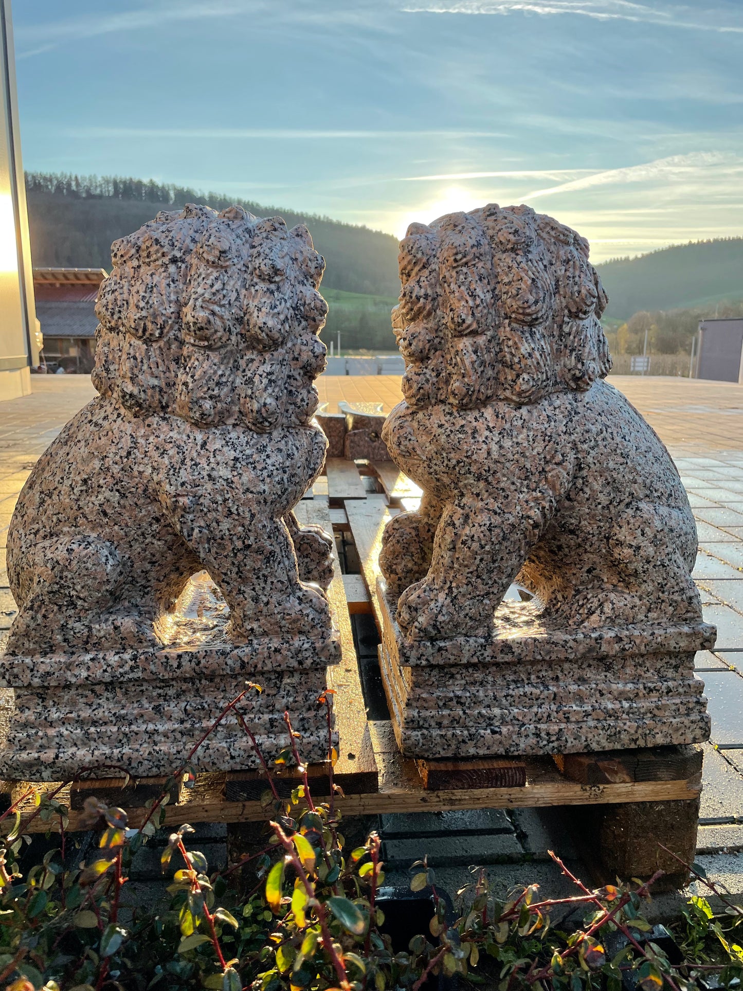 Tempelhunde aus massivem Granit (Paar)