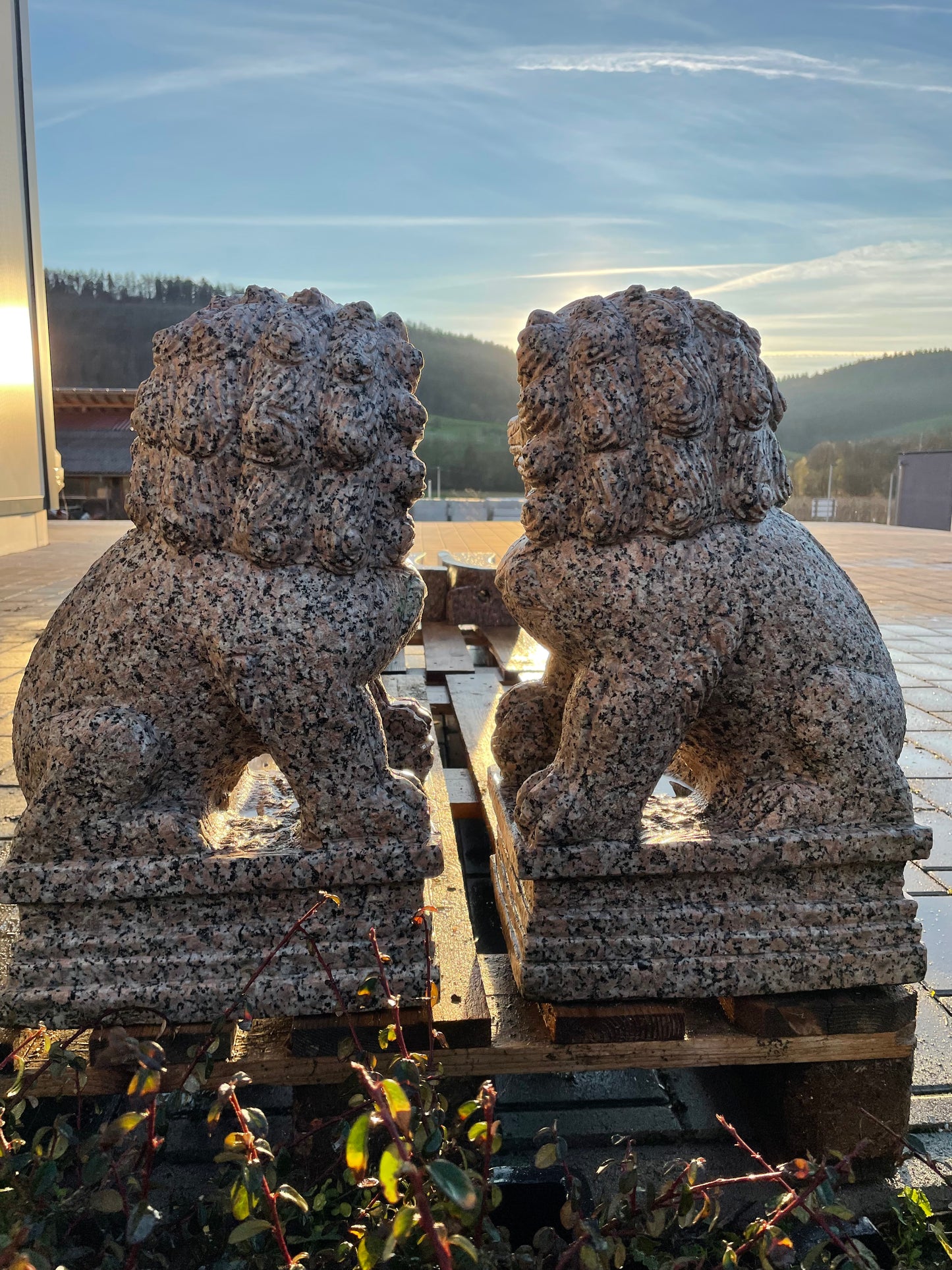 Tempelhunde aus massivem Granit (Paar)