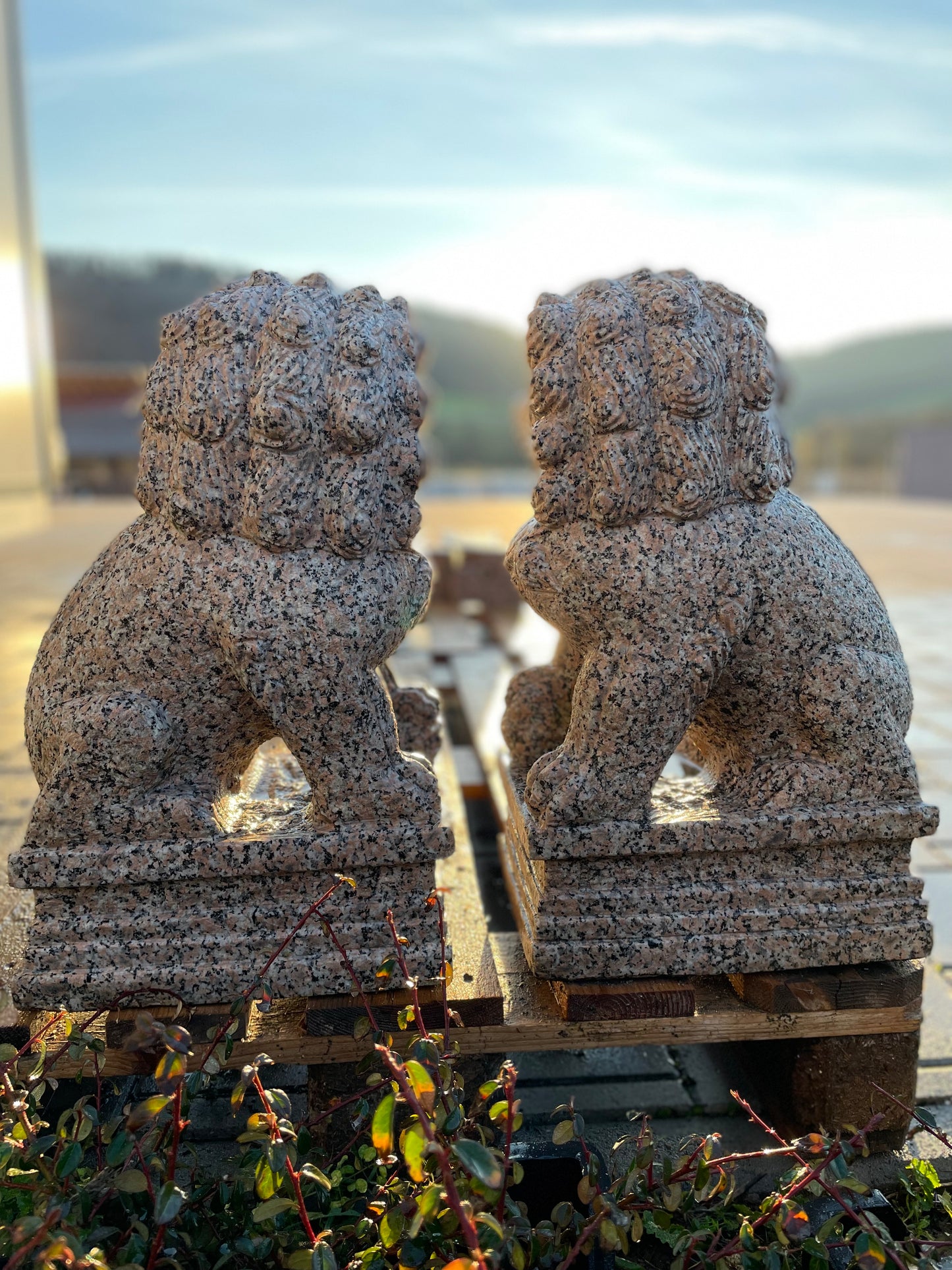 Tempelhunde aus massivem Granit (Paar)