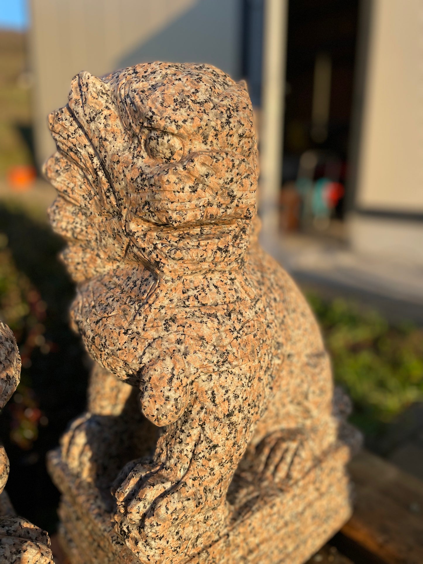 Tempelhunde aus massivem Granit (Paar)