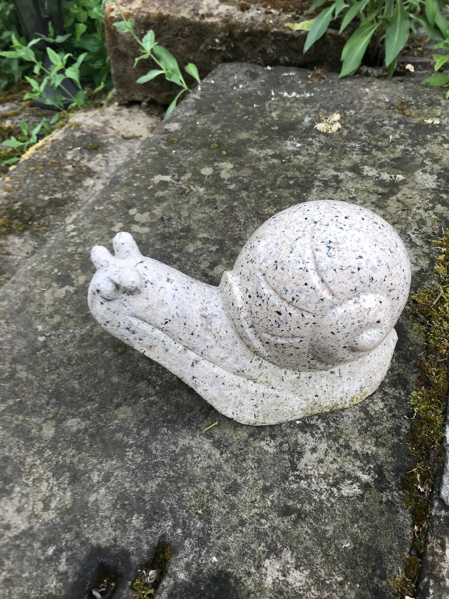 Granit Schnecke