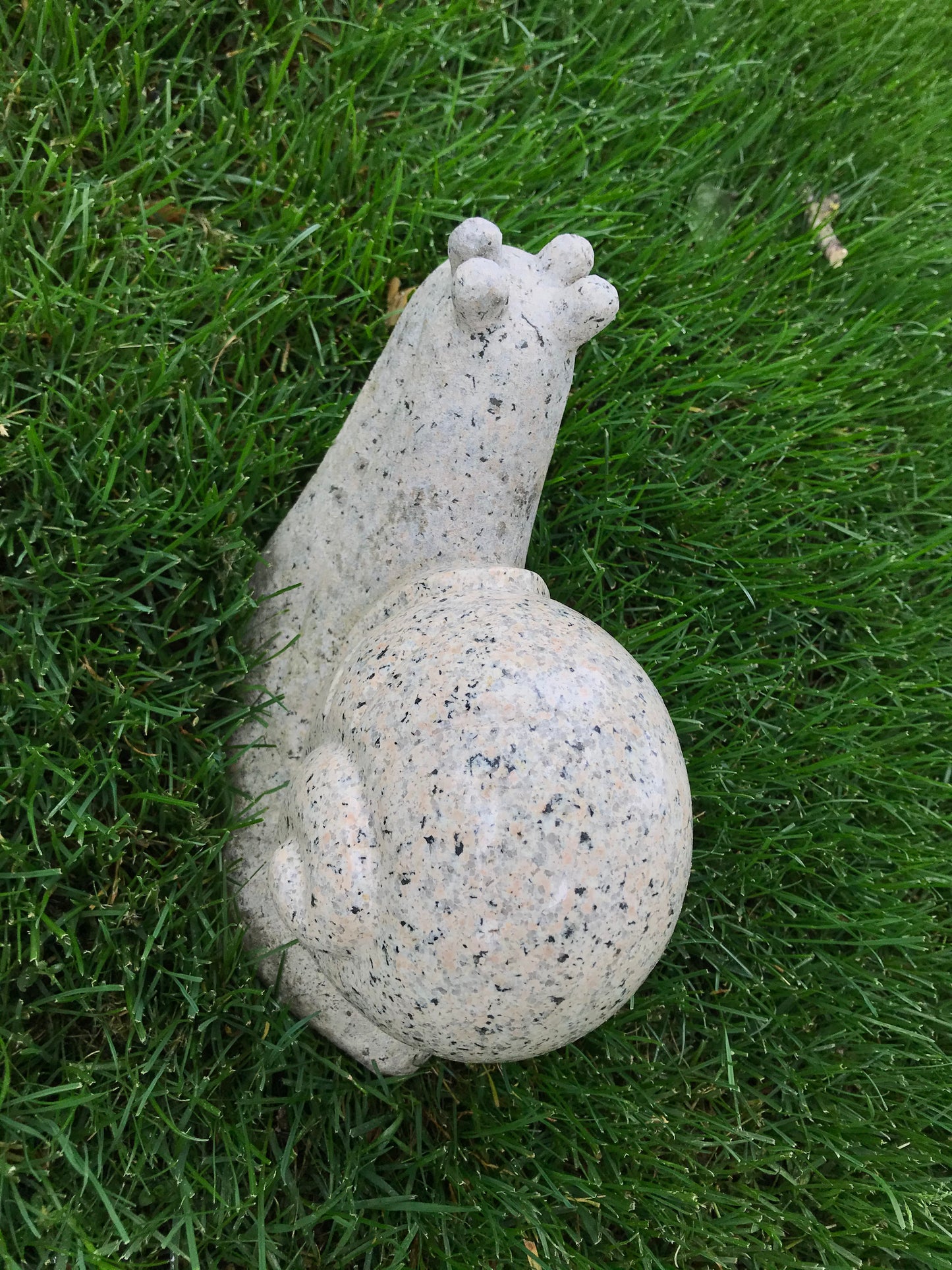 Granit Schnecke
