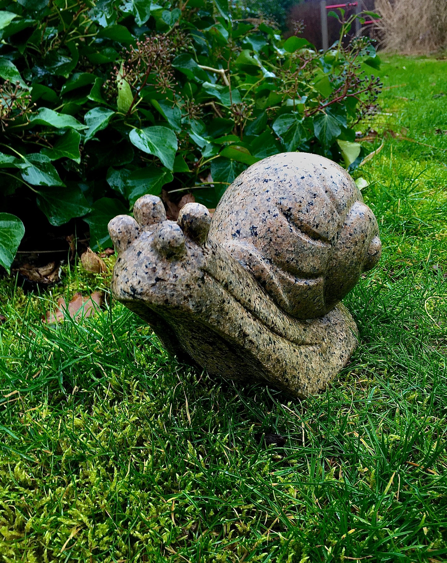 Granit Schnecke