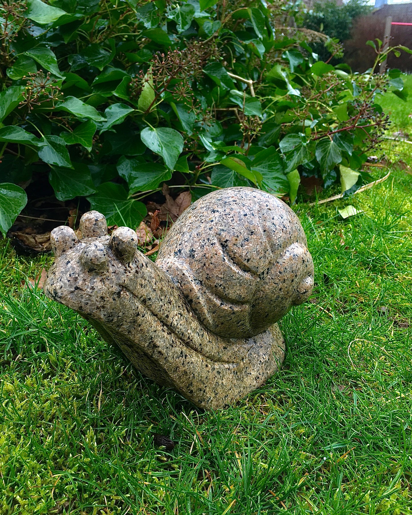 Granit Schnecke
