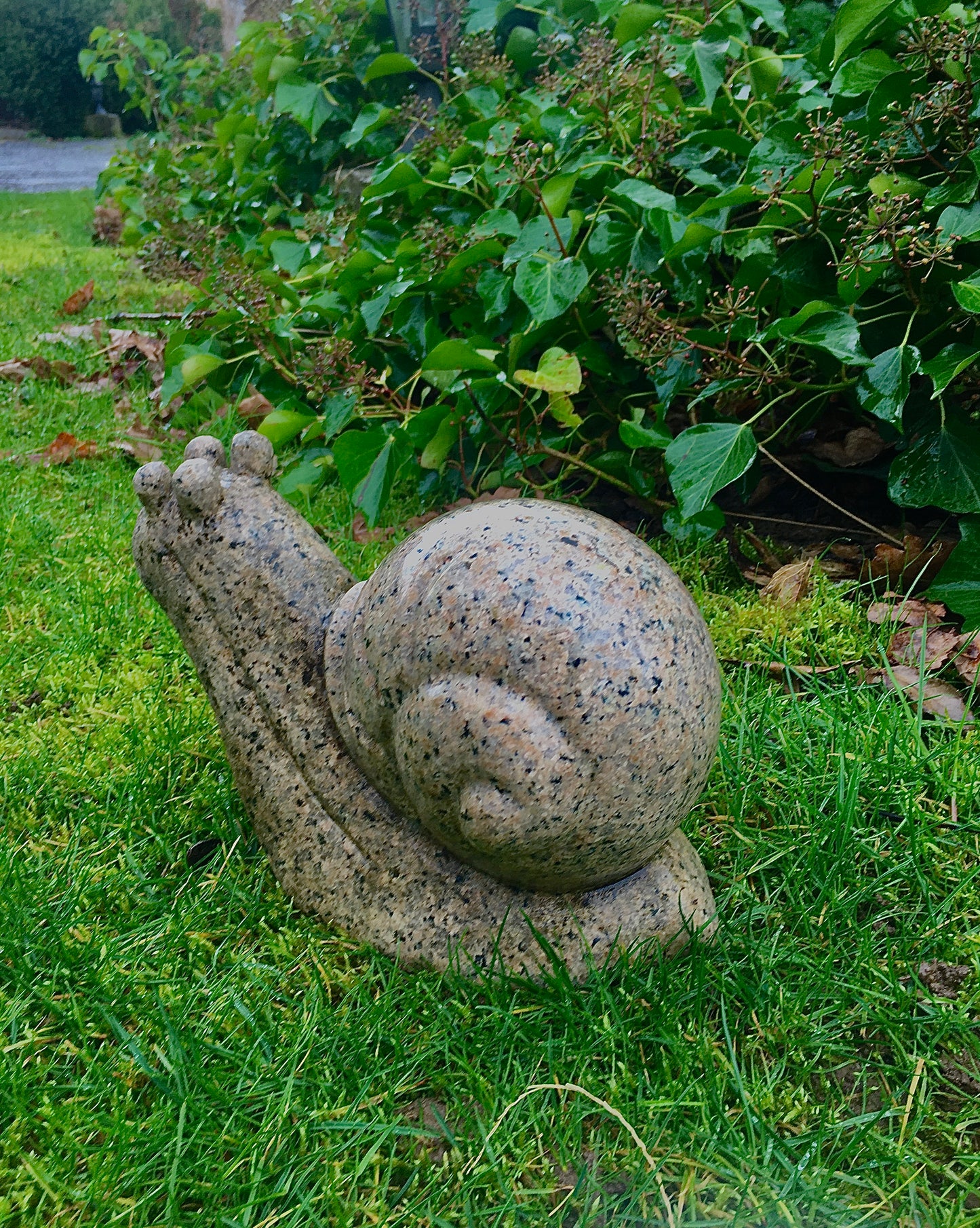 Granit Schnecke