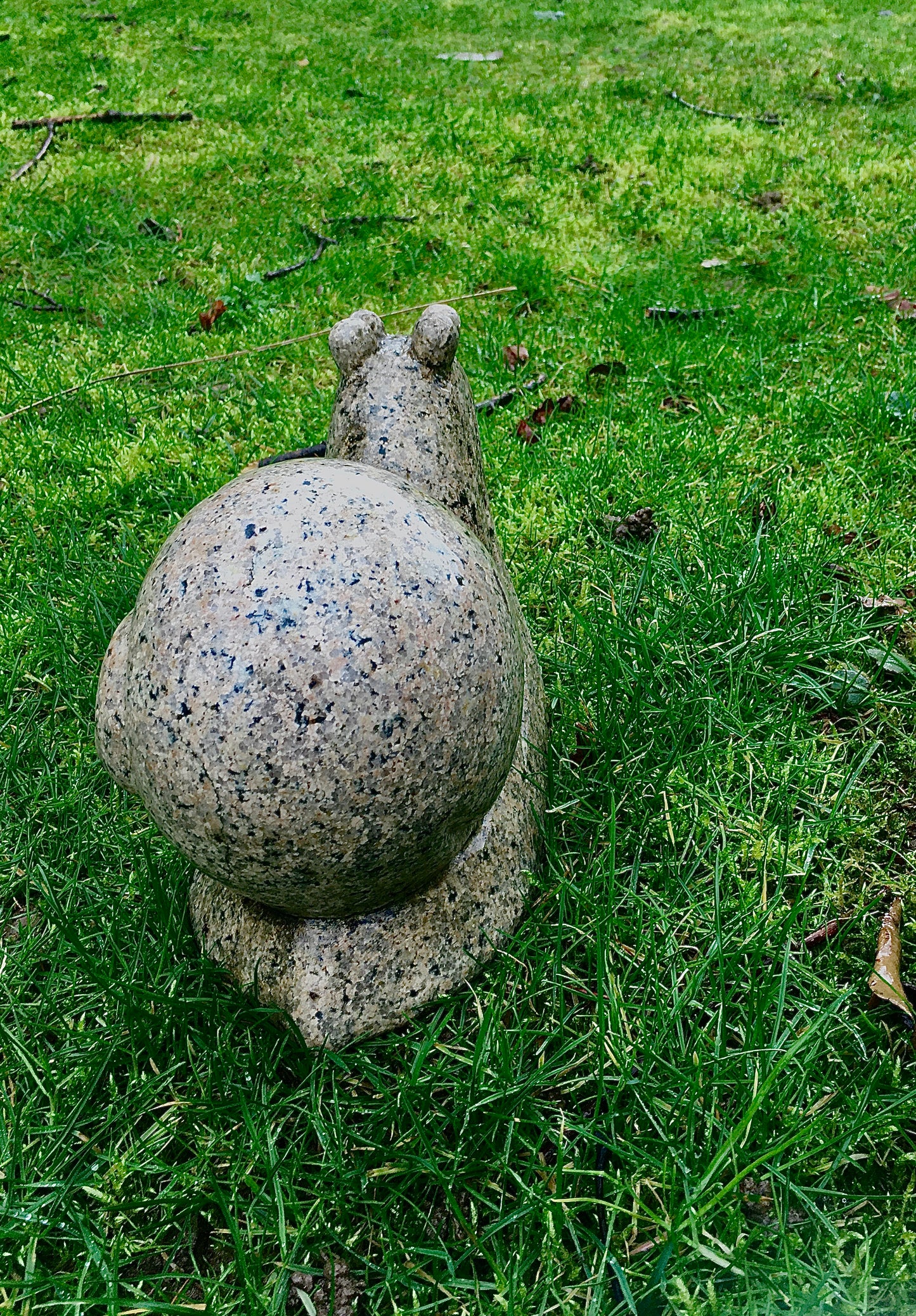 Granit Schnecke