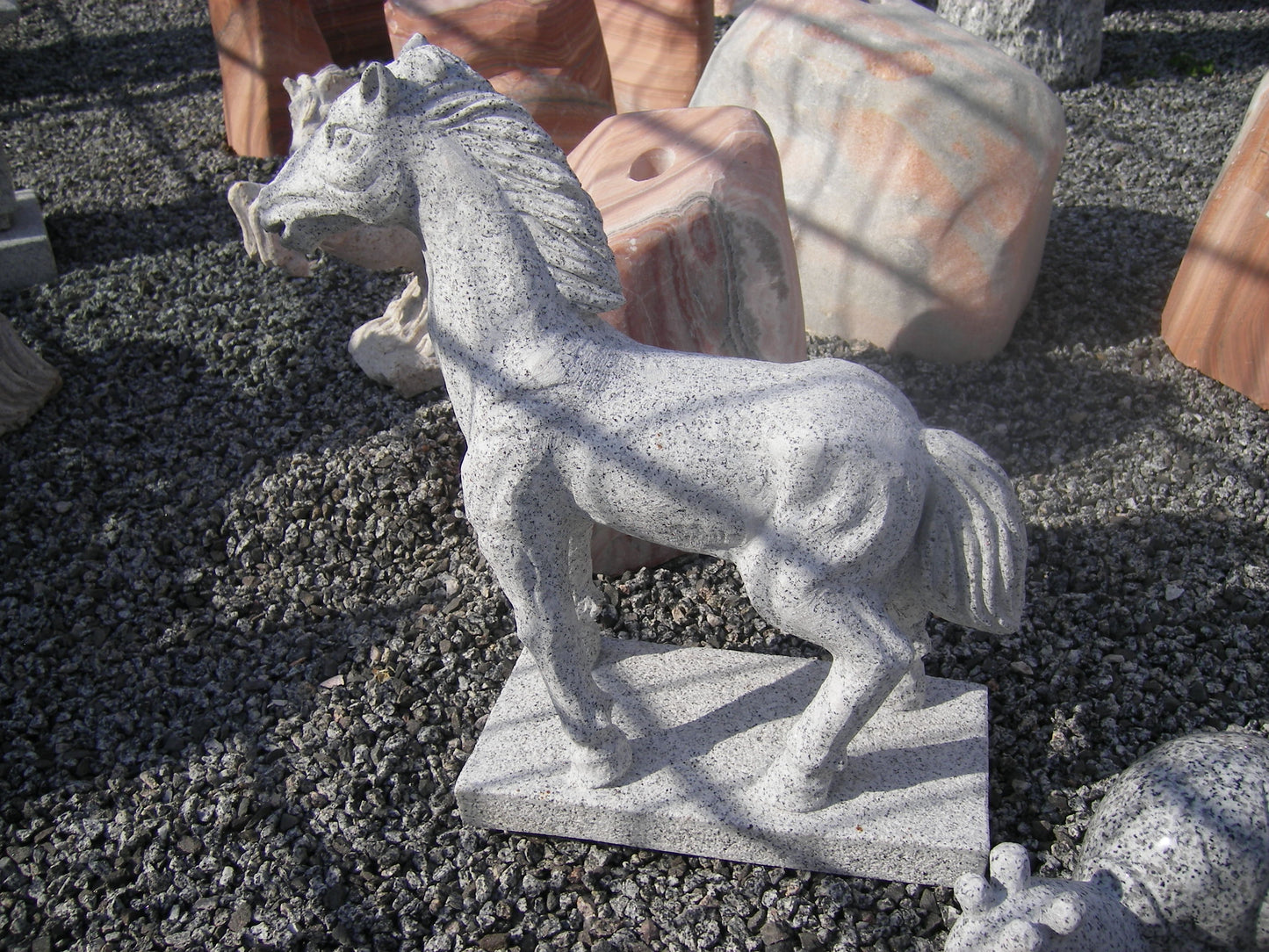Granitfohlen